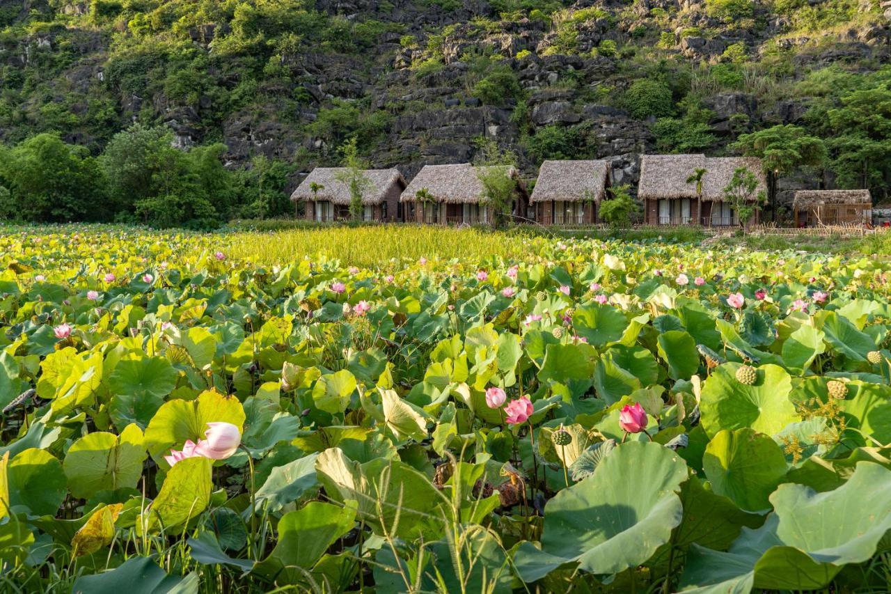 Muong Village Ninh Binh Luaran gambar