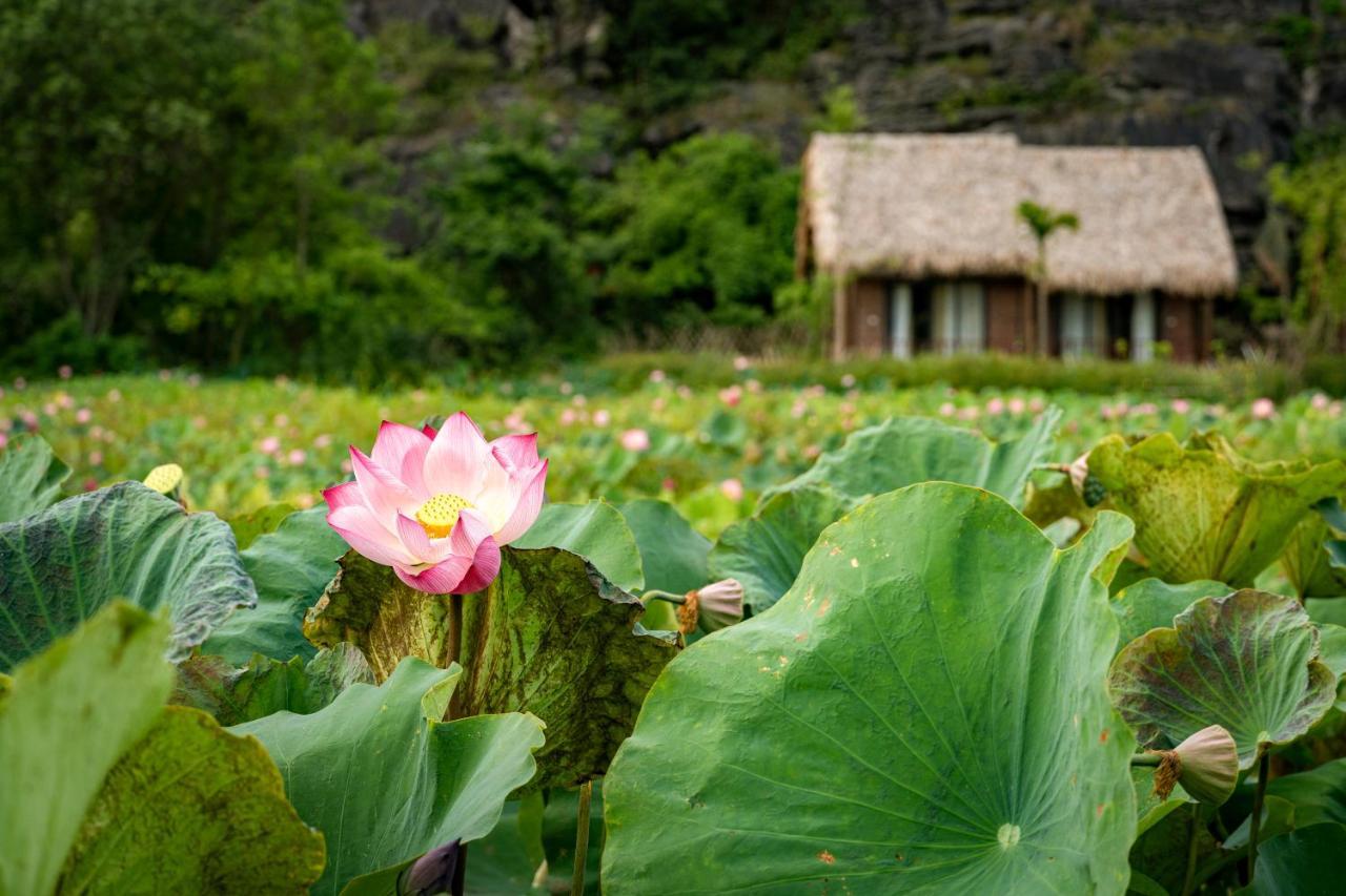 Muong Village Ninh Binh Luaran gambar
